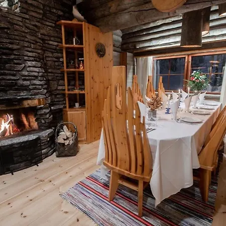 Finland - Golden Bear فيلة *