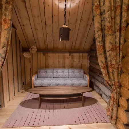 Finland - Golden Bear ليفي