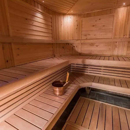 Βίλα Finland - Golden Bear Levi