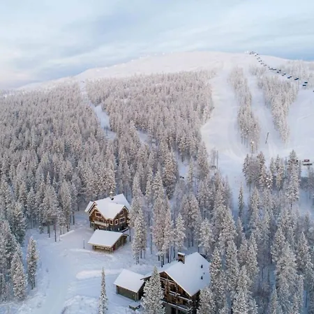 Finland - Golden Bear Βίλα *