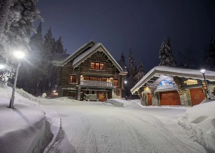 Willa Finland - Golden Bear