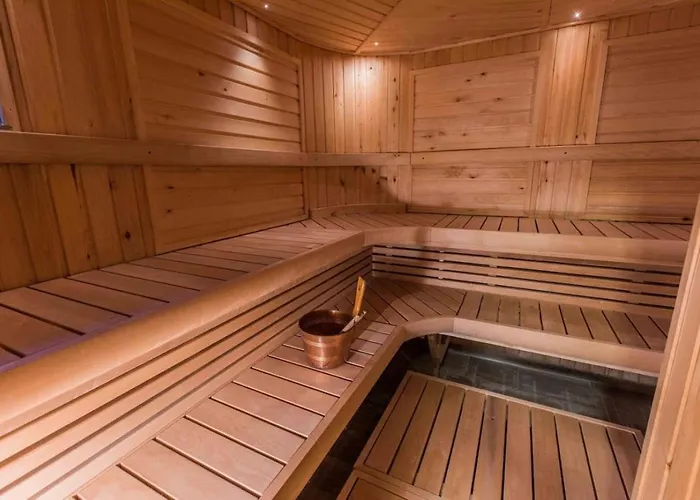 Willa Finland - Golden Bear Levi